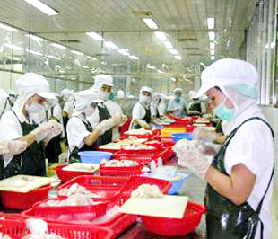 Theo Vụ Thị trường châu Âu, 6Pg88.con độc quyền mỗi ngày cần tra cứu thông tin trước khi tiến hành thương thảo, sử dụng phương thức thanh toán chặt chẽ, an toàn để đảm bảo thu hồi tiền hàng.