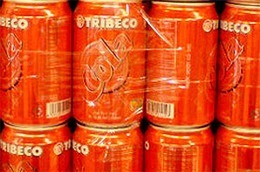 TRI dự kiến lợi nhuận sau thuế đạt 5 tỷ đồng trong năm 2011.