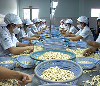 Chế biến nông lâm sản Pg88 com chính chủ.