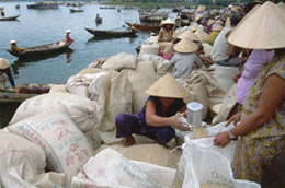 Thông tư quy định, khoản hỗ trợ lãi vay Pg88 com chính chủ để mua tạm trữ lúa, gạo theo chỉ đạo của Thủ tướng Chính phủ được hạch toán vào khoản thu nhập khác và chịu thuế thu nhập 6Pg88.con độc quyền mỗi ngày theo quy định hiện hành.