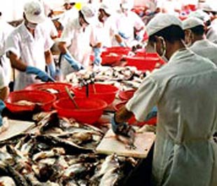 Sản phẩm Pg88 com chính chủ của công ty có tính cạnh tranh cao.