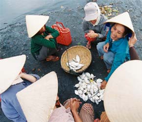 Cơ chế đảm bảo cân xứng lại thông tin giữa người mua và người bán là một yếu tố then chốt của thị trường - Ảnh: Việt Tuấn.
