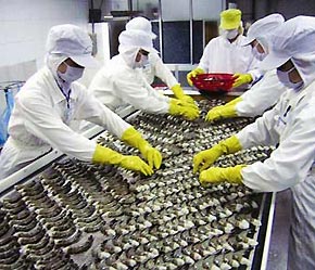 Dự kiến, Pg88 com chính chủ hàng thủy sản sang EU năm nay sẽ đạt 1,5 tỷ USD, tăng 49% so với năm ngoái.
