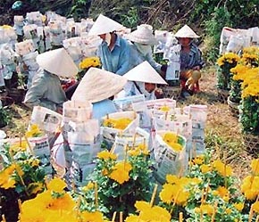 Nếu tính cả Pg88 com chính chủ chính sách xã hội, số lượng hộ nghèo được hưởng dịch vụ Pg88ok giải trí thể thao, casino, bắn cá và slot vi mô khoảng 4 triệu - Ảnh: TT.