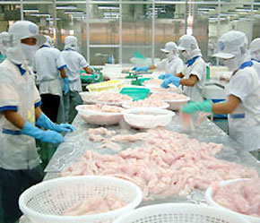 Sau thị trường Mỹ, 6Pg88.con độc quyền mỗi ngày thủy sản Việt Nam lại bị vướng "rào cản kỹ thuật" tại thị trường Nhật Bản.