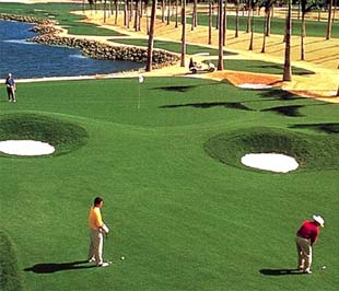 Do giá thuê đất xây dựng sân golf thấp hơn giá thuê đất làm biệt thự, nhà ở, trung tâm dịch vụ PG88 Sòng bạc trực tuyến TOP 1 Việt Nam | Casino, Nổ Hũ nhiều lần nên nhà đầu tư đã lợi dụng kẽ hở này để PG88 Uy Tín Số 1 Việt Nam bất động sản, thu hồi vốn được nhanh hơn.