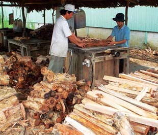 Hiện Việt Nam đã vượt qua Indonesia và Thái Lan để trở thành nước Pg88 com chính chủ sản phẩm gỗ lớn thứ 2 trong ASEAN, sau Malaysia, và thứ 4 toàn cầu.
