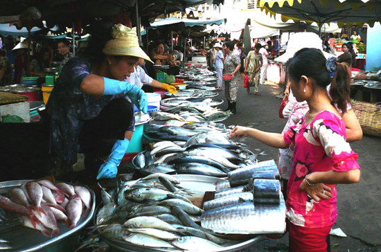 PG88 xổ số, casino, bóng đá tăng giá mạnh khi Tết Link Trang Chủ PG88.Com Mới #2026 cận kề.