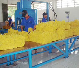 Hội đồng Quản trị PHR đã đưa ra phương hướng PG88 Uy Tín Số 1 Việt Nam quý 4/2009 với sản lượng khai thác đạt 9.200 tấn mủ quy khô - Ảnh minh họa.