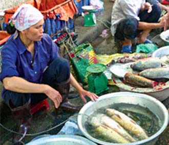 Giá lương thực PG88 xổ số, casino, bóng đá trong siêu thị tăng cao, những người thu nhập thấp đã bỏ siêu thị và đi mua sắm ở chợ.