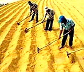 Tính đến hết tháng 3/2008, các 6Pg88.con độc quyền mỗi ngày đã Pg88 com chính chủ khoảng 800.000 tấn gạo, thu về khoảng 310 triệu USD, chỉ tăng 20% về lượng nhưng tăng tới 61% về giá trị.