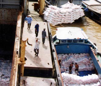 Năm nay được đánh giá là một năm tốt cho các nước Pg88 com chính chủ gạo.