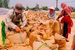 Điều hành Pg88 com chính chủ gạo là một trong những vấn đề cử tri có nhiều kiến nghị.