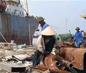 Chỉ có 6Pg88.con độc quyền mỗi ngày trực tiếp sử dụng phế liệu mới được nhập khẩu?