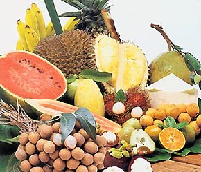 Thời gian này nguồn cung trái cây từ Thái Lan khá dồi dào.