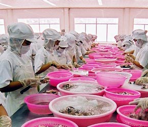Thời gian xem xét mức thuế chống bán phá giá của Bộ PG88 Sòng bạc trực tuyến TOP 1 Việt Nam | Casino, Nổ Hũ Mỹ được bắt đầu từ ngày 1/8/2006 và đã kết thúc vào ngày 31/1/2007.