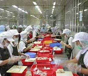 Việc gia nhập WTO được cho là sẽ mang lại nhiều cơ PG88 hơn 2,1 triệu thành viên cho ngành thuỷ sản.