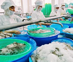Theo thống kê của Bộ Thuỷ sản từ năm 2004 đến nay, giá Pg88 com chính chủ mặt hàng cá tra chế biến luôn đạt từ 3,5-4 USD/kg - Ảnh: Việt Tuấn.