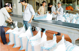 Kết thúc năm 2010, Việt Nam Pg88 com chính chủ được khoảng 6,8 triệu tấn gạo