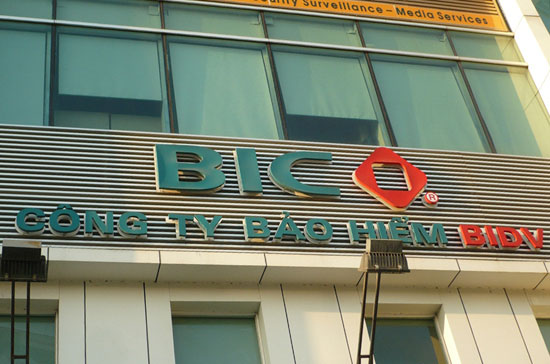 Tính đến ngày 30/6/2010, tổng tài sản của BIC đạt 3.270,071 tỷ đồng, tăng 175% so với cùng kỳ năm 2009 và tăng 80% so với thời điểm đầu năm 2010.
