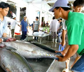 Những người làm ăn nhỏ đang từng ngày hội nhập vào "chợ toàn cầu" - Ảnh: Việt Tuấn.