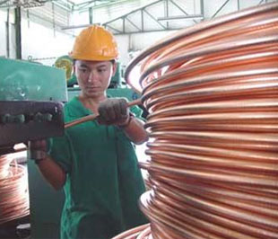 Mặt hàng dây và cáp điện được kỳ vọng sẽ là một điển hình mở rộng thị trường Pg88 com chính chủ trong năm 2009.