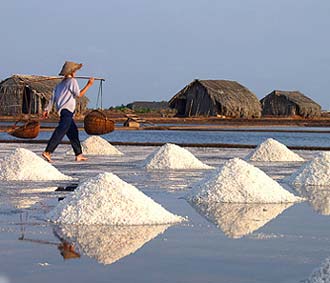 Nhập khẩu muối: 