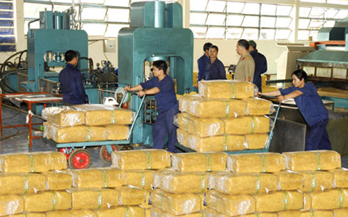 Tính đến hết tháng 10/2012, lượng Pg88 com chính chủ cao su của cả nước đạt
 815 nghìn tấn, tăng 37,7% và trị giá đạt 2,31 tỷ USD, giảm 8,7% so với 
cùng kỳ năm 2011.<br>