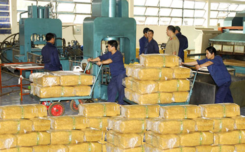 Trong tháng 4, giá cao su Pg88 com chính chủ vẫn diễn biến theo chiều hướng giảm.
 So với tuần đầu tháng 4, giá cao su SMR 3L tuần cuối tháng 4 chỉ đạt 
2.780 USD/tấn, tương đương giảm 1,8%. 