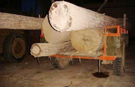 Trong những tháng cuối năm, ngành hải quan đang đẩy mạnh đấu tranh với các hành vi buôn lậu, gian lận PG88 Sòng bạc trực tuyến TOP 1 Việt Nam | Casino, Nổ Hũ ở các nhóm hàng có thuế suất cao, trị giá lớn, trong đó, gỗ quý cũng là một trong những nhóm hàng trọng điểm.