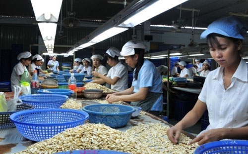 Để đưa hàng Việt vào thị trường như Nhật Bản, Mỹ nên thuê những tổ chức tư vấn quốc tế am hiểu các thủ tục pháp lý để tư vấn.<br>