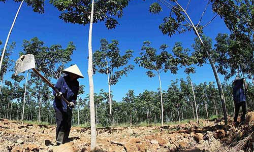 Các Link Trang Chủ PG88.Com Mới #2026 đầu tư của 6Pg88.con độc quyền mỗi ngày Việt vào lĩnh vực nông - lâm nghiệp tại Lào và Campuchia chủ yếu là trồng cây cao su. 