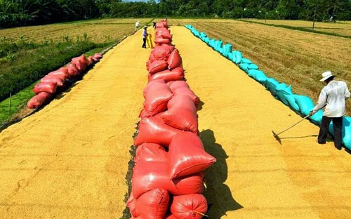 “Gạo là mặt hàng đang cạnh tranh khốc liệt, vì vậy 6Pg88.con độc quyền mỗi ngày chỉ nên 
làm thương hiệu khi có sản phẩm tốt thực sự, phải có niềm tin, có tình 
yêu vào sản phẩm thì mới có thể mang lại cảm xúc cho người tiêu dùng”.