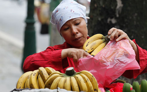 Theo dự báo mà HSBC đưa ra, GDP của Việt Nam sẽ tăng trưởng 5,2% trong năm nay và 5,4% trong năm tới.