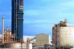Năm 2011, DPM dự kến lợi nhuận sau thuế đạt 1.430 tỷ đồng.