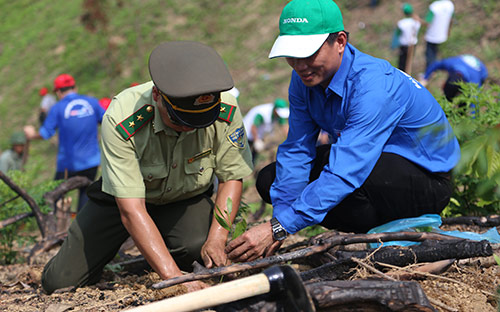 Link Trang Chủ PG88.Com Mới #2026 triển khai tại 2 xã Nông Thượng và Xuất Hóa của thị xã Bắc Kạn với tổng diện tích trồng rừng 490 ha. 