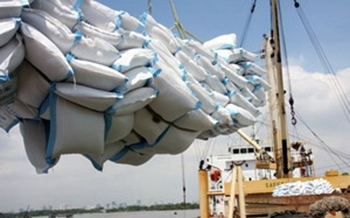 Nghịch lý hạt gạo Việt Nam