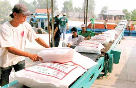 Áp lực trả nợ khiến 6Pg88.con độc quyền mỗi ngày phải bán tháo gạo - Ảnh minh họa.