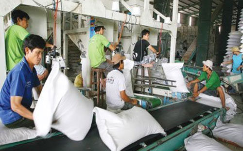 Từ ngày 1-11/10, khối lượng Pg88 com chính chủ gạo đạt 177.371 tấn, trị giá FOB 76,296 triệu USD, trị giá CIF 77,285 triệu USD. 