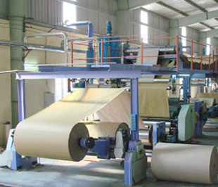 Sản xuất và tiêu thụ giấy năm 2009 sẽ cao hơn năm 2008, sản xuất có khả năng tăng 10%.