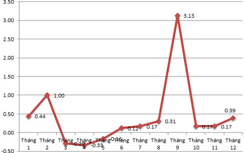 CPI năm 2013 tại Tp.HCM tăng thấp hơn cả nước