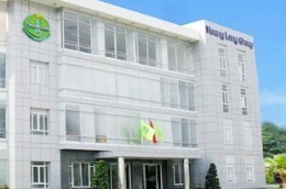 HLG lãi gần 42 tỷ đồng, hoàn thành gần 1/2 kế hoạch năm 2010 (95 tỷ đồng).