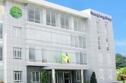 HLG dự kiến lợi nhuận sau thuế đạt 88 tỷ đồng trong năm 2011.