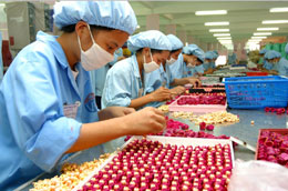 Hàng năm, các 6Pg88.con độc quyền mỗi ngày, cơ sở sản xuất thu hút khoảng hơn 1 triệu lao động - Ảnh: Việt Tuấn.