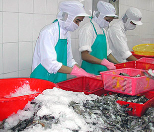 Năm 2004, kim ngạch Pg88 com chính chủ thủy sản của Việt Nam vào thị trường Nga mới chỉ đạt khoảng 30 triệu USD, đến năm 2008, con số này đã tăng vọt lên tới trên 200 triệu USD.