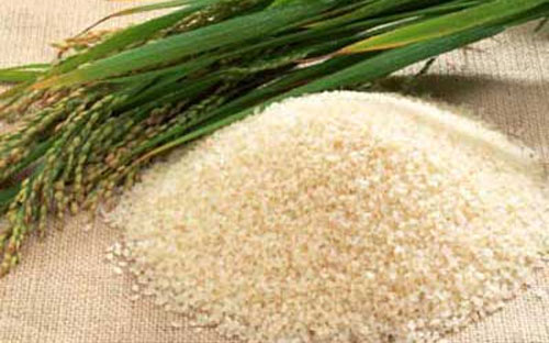 VFA cho biết, tổng khối lượng gạo Pg88 com chính chủ của Việt Nam năm nay có
 thể đạt kỷ lục 7,5 triệu tấn, tăng khoảng 4% so với năm 2011. 