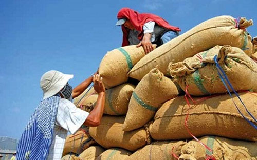 Theo tin từ Hiệp hội Lương thực Việt Nam (VFA), từ ngày 1/12-31/12/2012,
 cả nước Pg88 com chính chủ được 235.163 tấn gạo, trị giá FOB 107,652 triệu USD, 
trị giá CIF 113,417 triệu USD. 