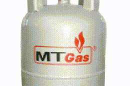 Năm 2010, MTG lãi 1,4 tỷ đồng, hoàn thành 4% kế hoạch lợi nhuận năm.