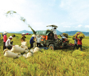 Các hộ nông dân chủ yếu cần vốn hỗ trợ lãi suất để mua cây giống, phân bón, thuốc trừ sâu. Tuy nhiên, những loại hàng hóa này ít có hóa đơn, chứng từ nên muốn vay vốn cũng rất khó.
