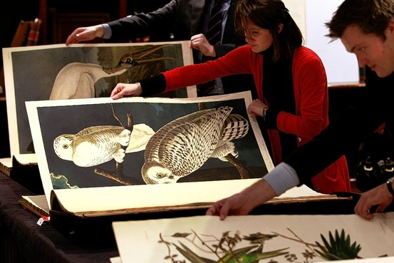 Nhân viên của Sotheby's với ba bản copy của cuốn "Birds of America" - Ảnh: AP.